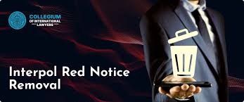 The Extradition Process in Spain Understanding the Mechanism of Transfer
